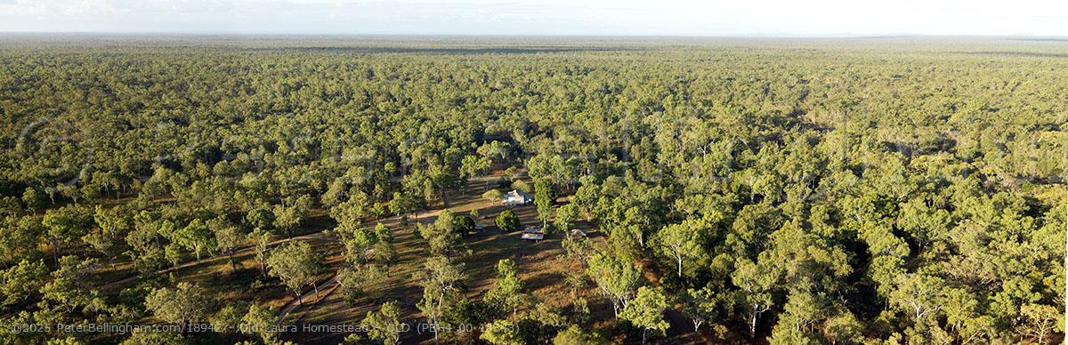 Peter Bellingham Photography Old Laura Homestead - QLD (PBH4 00 14343)